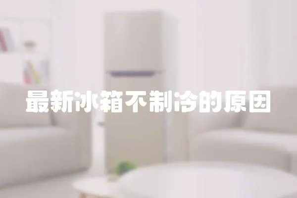 最新冰箱不制冷的原因