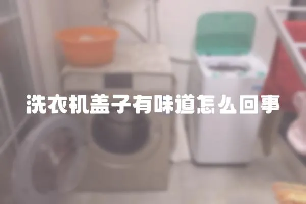 洗衣機蓋子有味道怎么回事