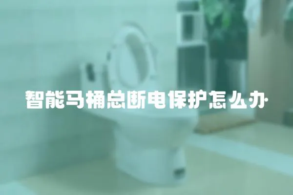 智能馬桶總斷電保護怎么辦