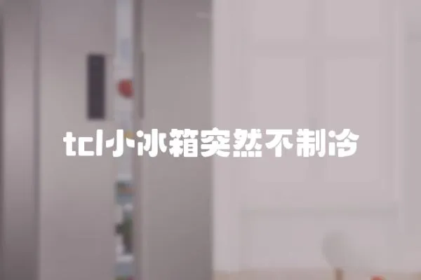 tcl小冰箱突然不制冷