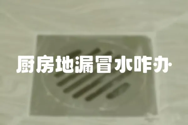 廚房地漏冒水咋辦