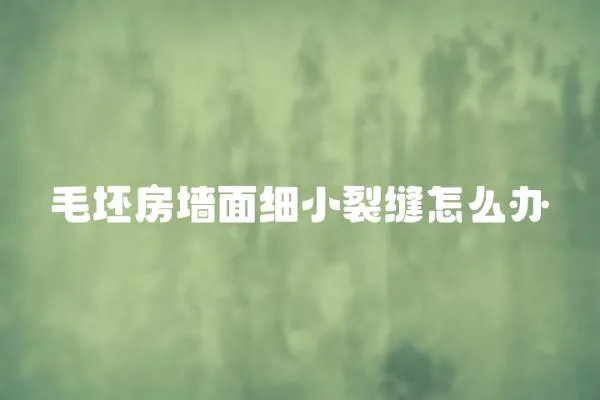 毛坯房墻面細(xì)小裂縫怎么辦