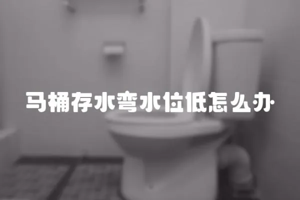 馬桶存水彎水位低怎么辦