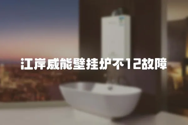 江岸威能壁掛爐不12故障