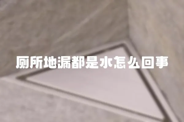廁所地漏都是水怎么回事