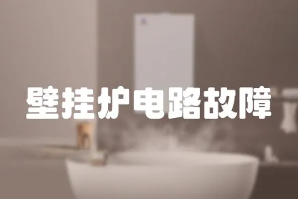 壁掛爐電路故障