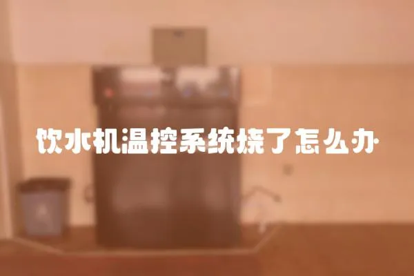 飲水機溫控系統燒了怎么辦