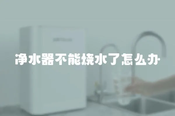凈水器不能燒水了怎么辦