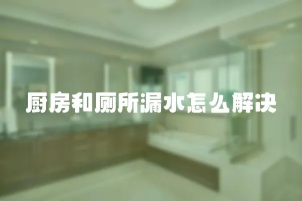 廚房和廁所漏水怎么解決