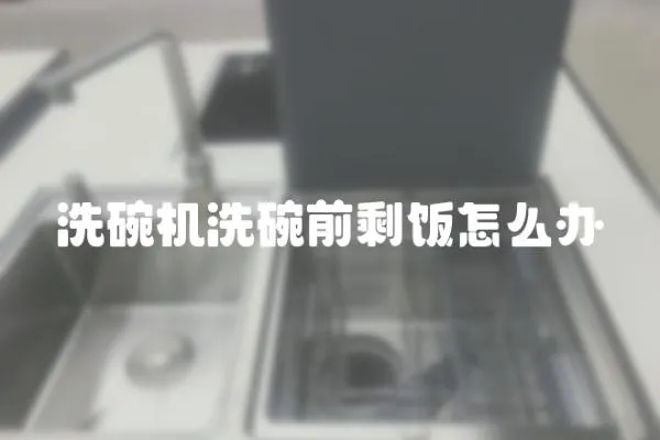 洗碗機洗碗前剩飯怎么辦