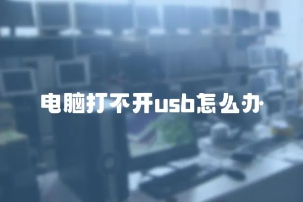 電腦打不開usb怎么辦