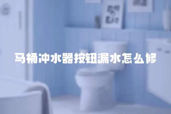 馬桶沖水器按鈕漏水怎么修