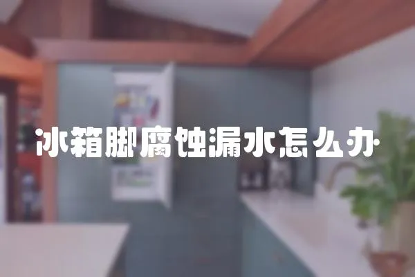 冰箱腳腐蝕漏水怎么辦
