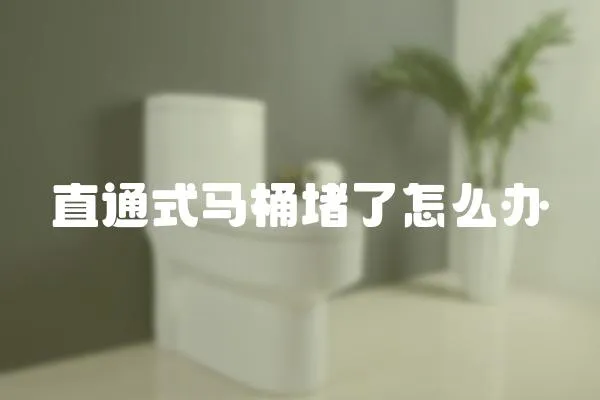 直通式馬桶堵了怎么辦