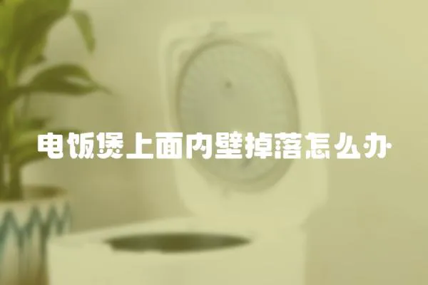 電飯煲上面內壁掉落怎么辦