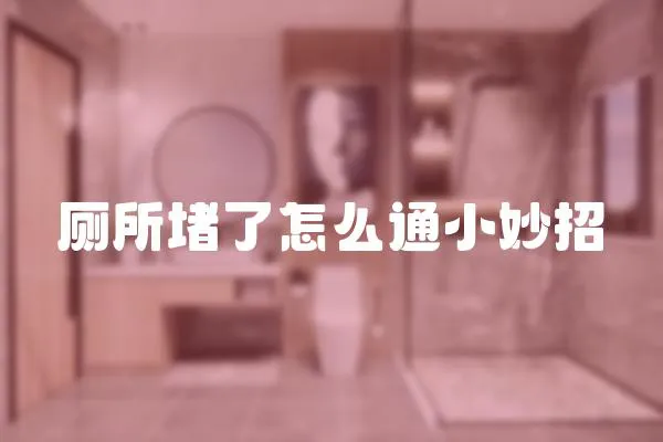 廁所堵了怎么通小妙招