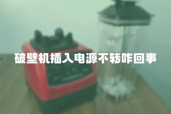 破壁機(jī)插入電源不轉(zhuǎn)咋回事