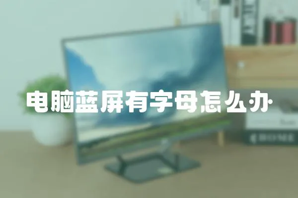 電腦藍(lán)屏有字母怎么辦