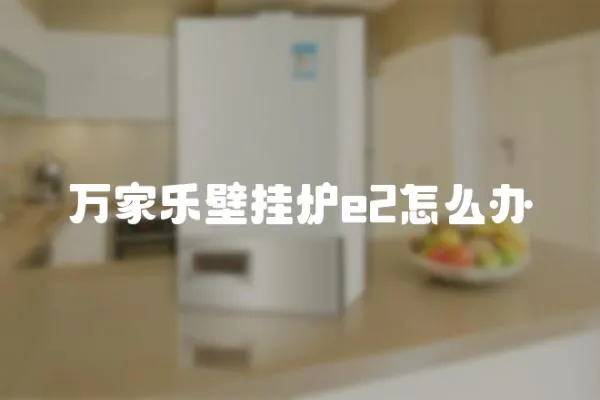 萬家樂壁掛爐e2怎么辦