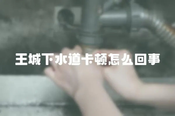 王城下水道卡頓怎么回事