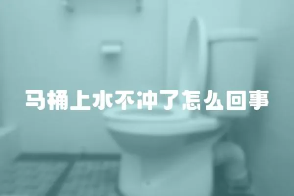 馬桶上水不沖了怎么回事