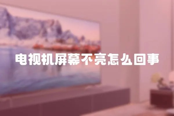 電視機(jī)屏幕不亮怎么回事