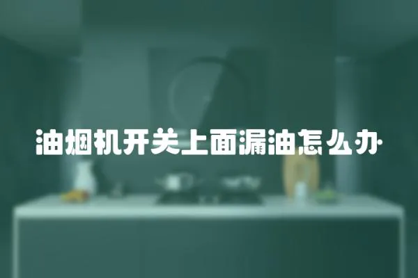 油烟机开关上面漏油怎么办