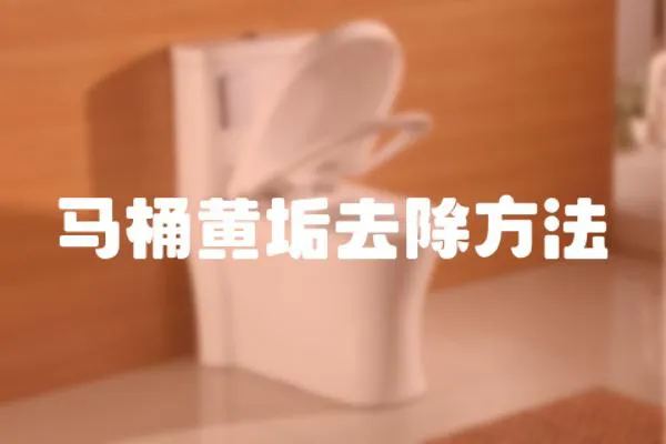 馬桶黃垢去除方法