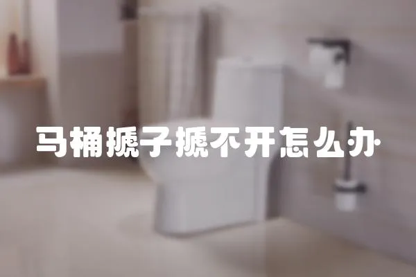 馬桶搋子搋不開怎么辦