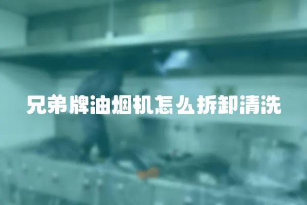 兄弟牌油煙機怎么拆卸清洗