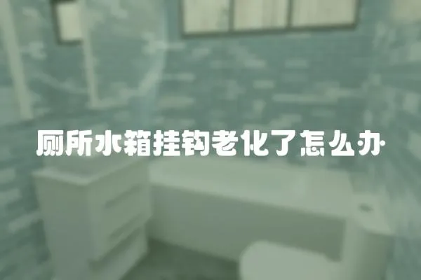 廁所水箱掛鉤老化了怎么辦