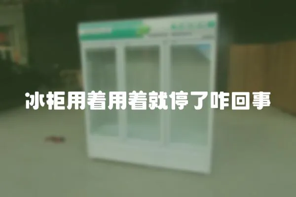 冰柜用著用著就停了咋回事