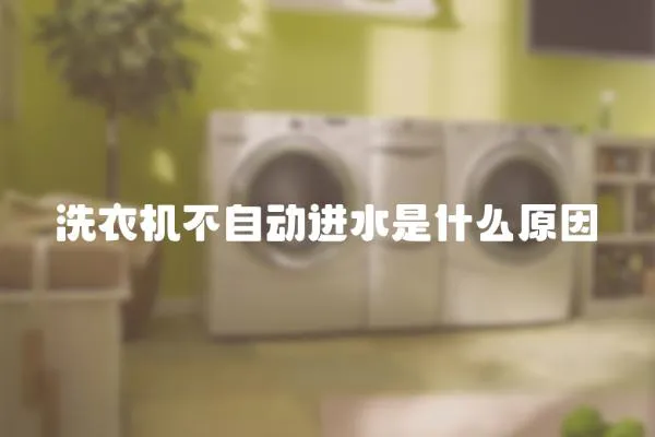 洗衣機(jī)不自動進(jìn)水是什么原因