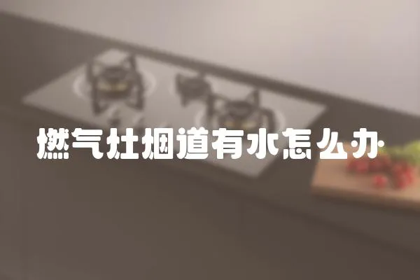 燃氣灶煙道有水怎么辦