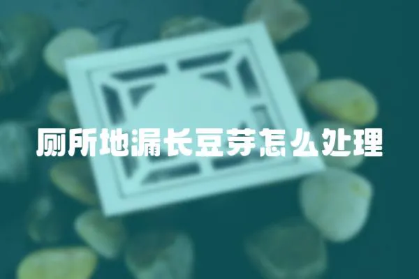 廁所地漏長豆芽怎么處理