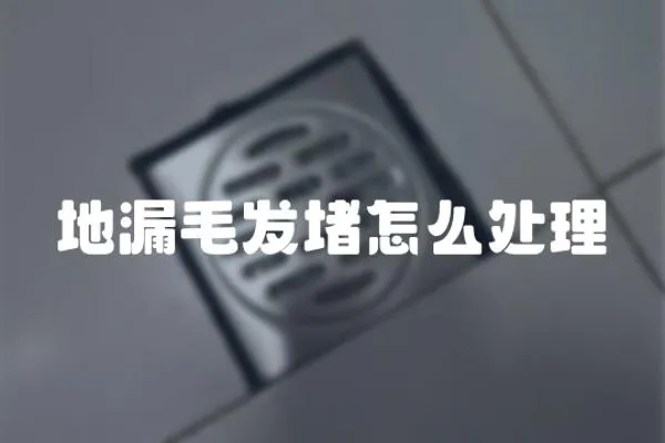 地漏毛發(fā)堵怎么處理