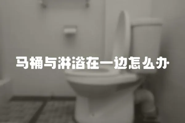 馬桶與淋浴在一邊怎么辦