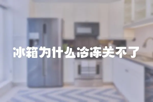 冰箱為什么冷凍關(guān)不了