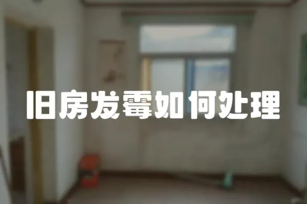 舊房發霉如何處理