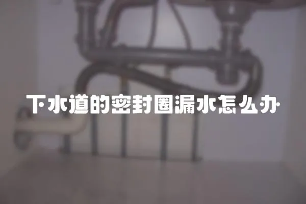 下水道的密封圈漏水怎么辦