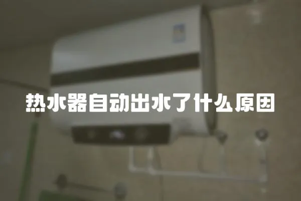 熱水器自動出水了什么原因