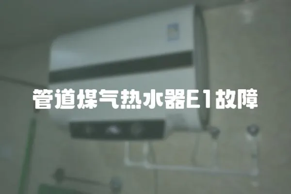 管道煤氣熱水器E1故障