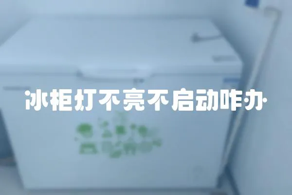 冰柜燈不亮不啟動咋辦