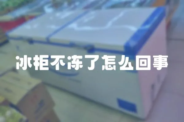 冰柜不凍了怎么回事