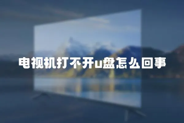 電視機打不開u盤怎么回事