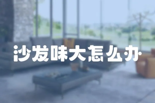 沙發味大怎么辦