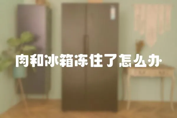 肉和冰箱凍住了怎么辦