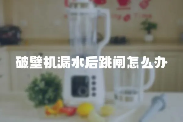 破壁機漏水后跳閘怎么辦