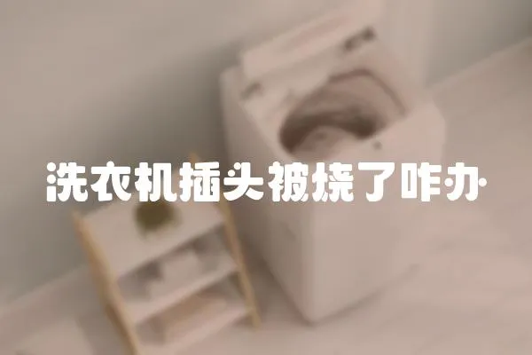 洗衣機(jī)插頭被燒了咋辦