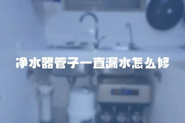 凈水器管子一直漏水怎么修